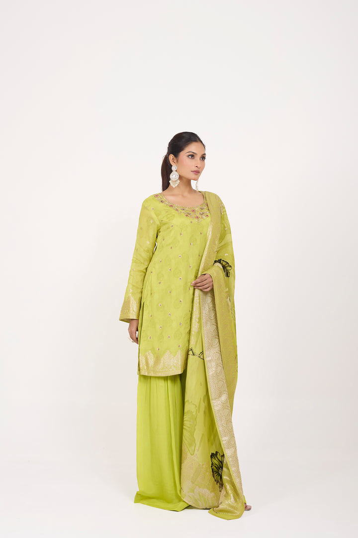 Printed Banarsi Weaves - Hand Embroidered - Set of 3 - Neon Green